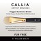 Willow Wolfe Callia Artist Acrylic & Oil Flowers Brush Set-Filberts, Chisel, Dodo Mop